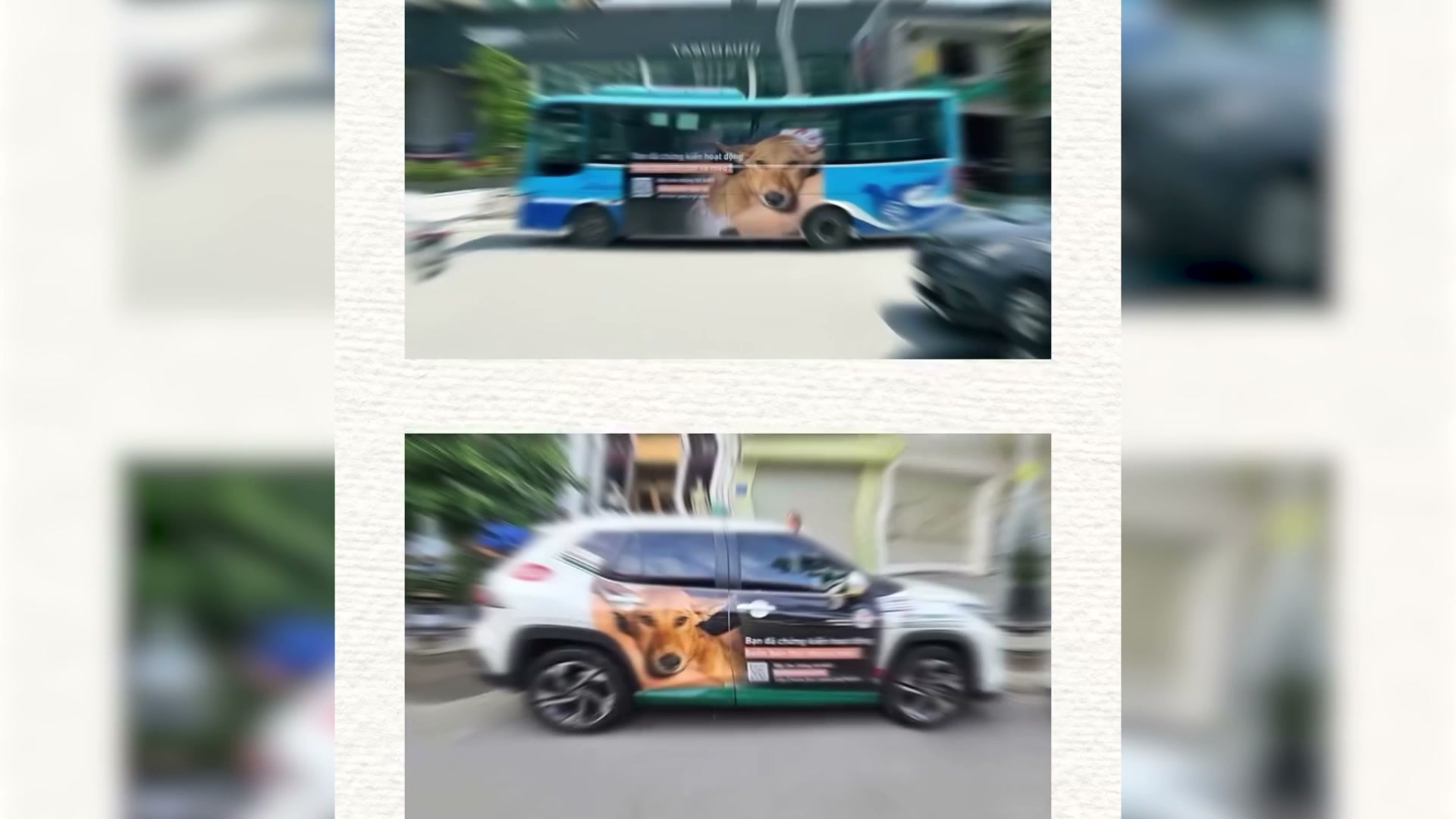 FOUR PAWS Video Cutscene 3
